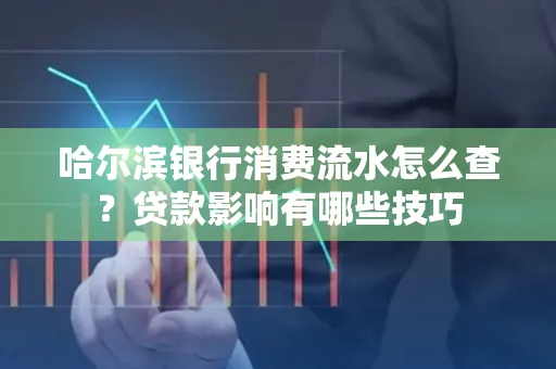 哈尔滨银行消费流水怎么查?贷款影响有哪些技巧